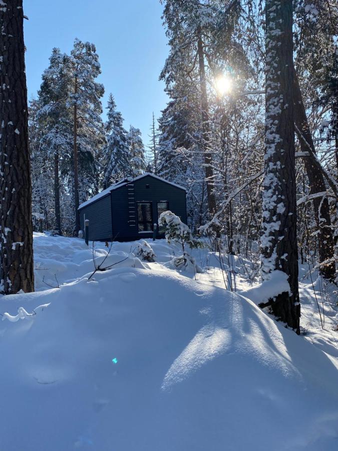 Tammikon Tupa Villa Tuusula Luaran gambar